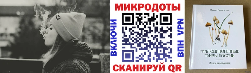 кракен как зайти  Княгинино  Псилоцибиновые грибы Magic Shrooms 